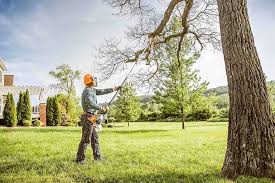  Crossville, TN Tree Removal Pros