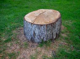 Best Utility Line Clearance  in Crossville, TN