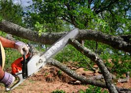 Best Leaf Removal  in Crossville, TN